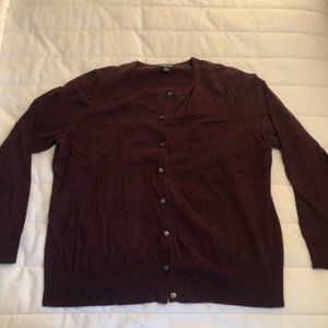 Lands End Purple Button down